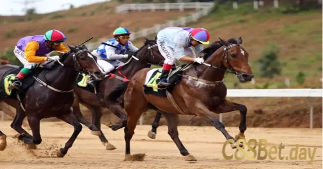 Đua ngựa C88BET là gì