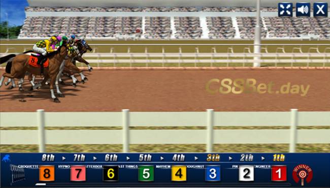 Các kèo đua ngựa C88BET