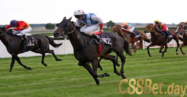 Các loại cược kèo đua ngựa ở nhà cái C88Bet