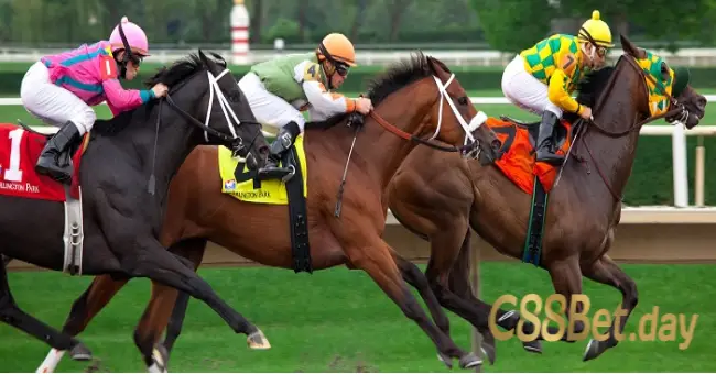 Đua ngựa online ở C88BET có đặc điểm như thế nào
