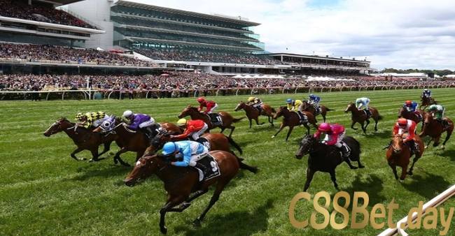 Kinh nghiệm cược kèo đua ngựa thắng tại C88Bet