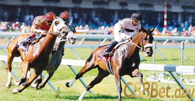 Thế nào là đua ngựa và kèo cá cược đua ngựa