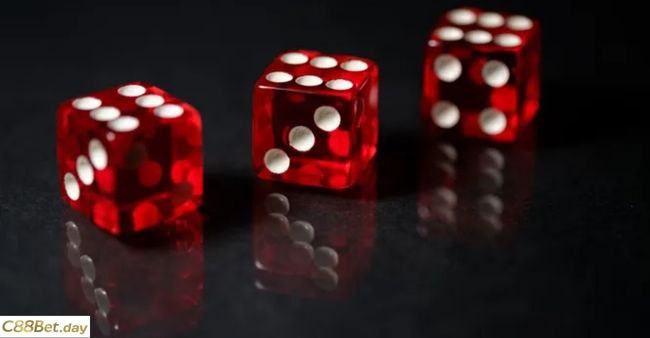 photo 2023 03 10 16 36 41 3