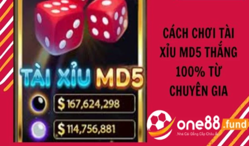Tài Xỉu MD5 Là Gì? Cách chơi tài xỉu Md5 trúng lớn