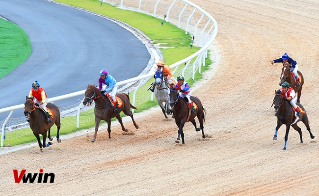 Đua ngựa trực tuyến là gì? Quy tắc cá cược đua ngựa trực tuyến tại nhà cái Vwin