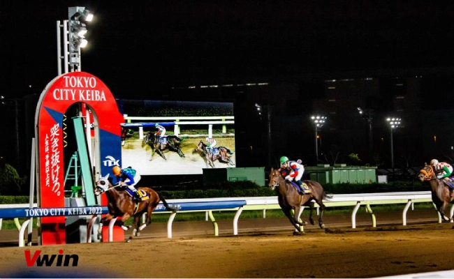 Đua ngựa trực tuyến là gì? Quy tắc cá cược đua ngựa trực tuyến tại nhà cái Vwin