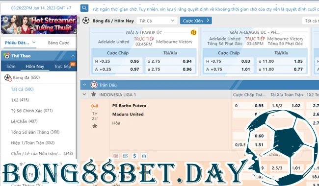 Cách đăng nhập vào giao diện Bong88  