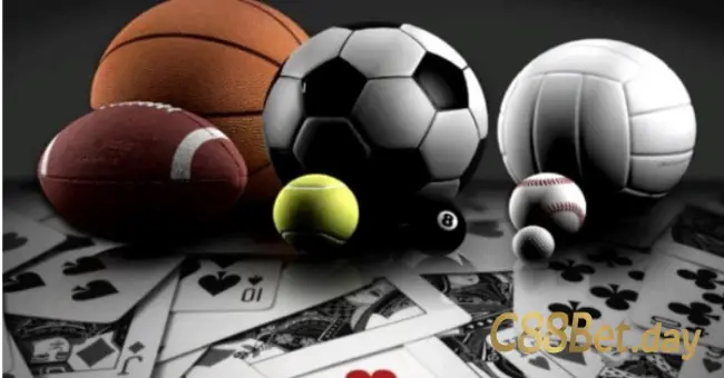 Kham pha tinh nang dat cuoc B8B Loi ich va huong dan su dung